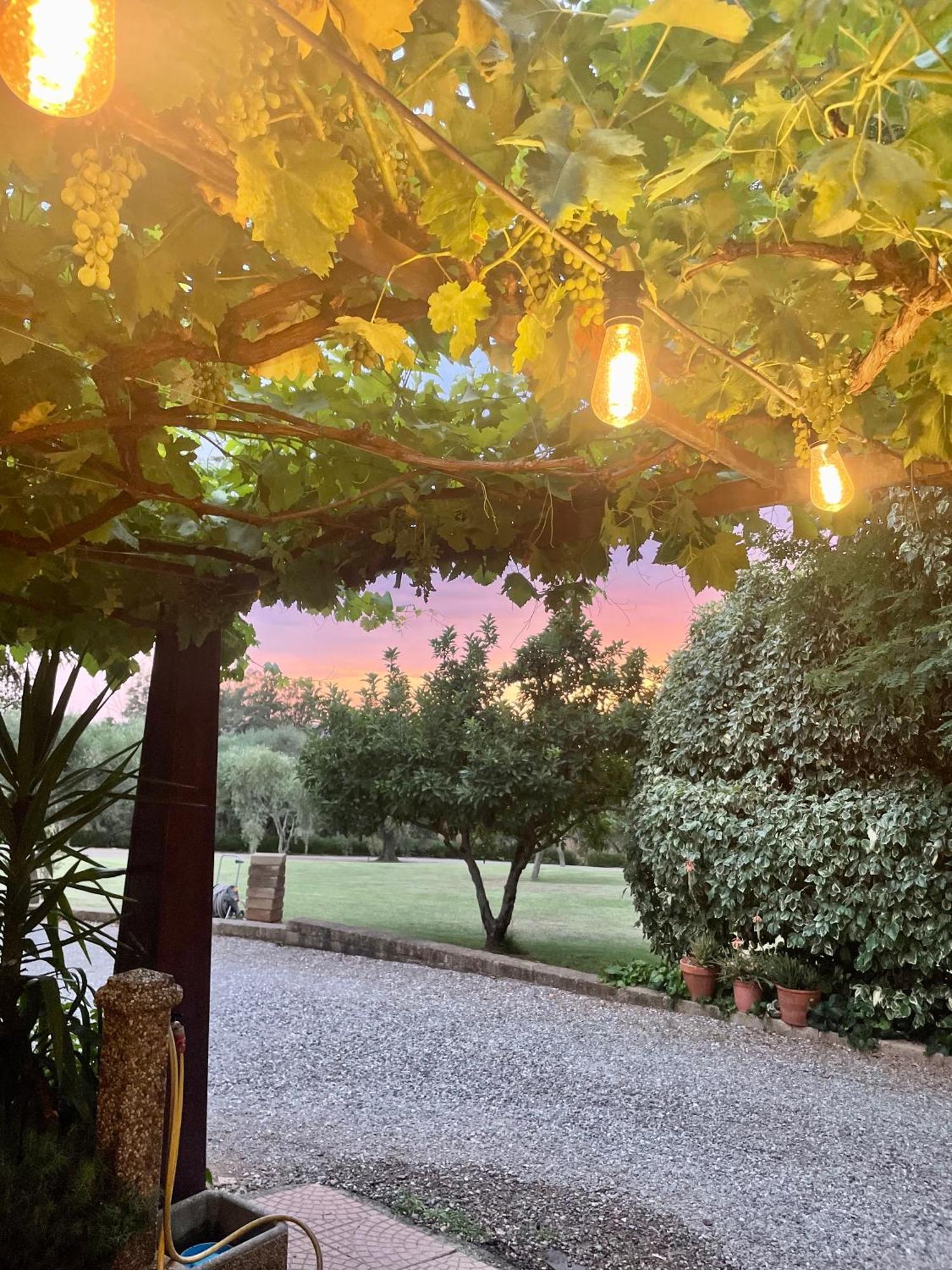 Agriturismo Podere Valdo Gavorrano Exterior photo