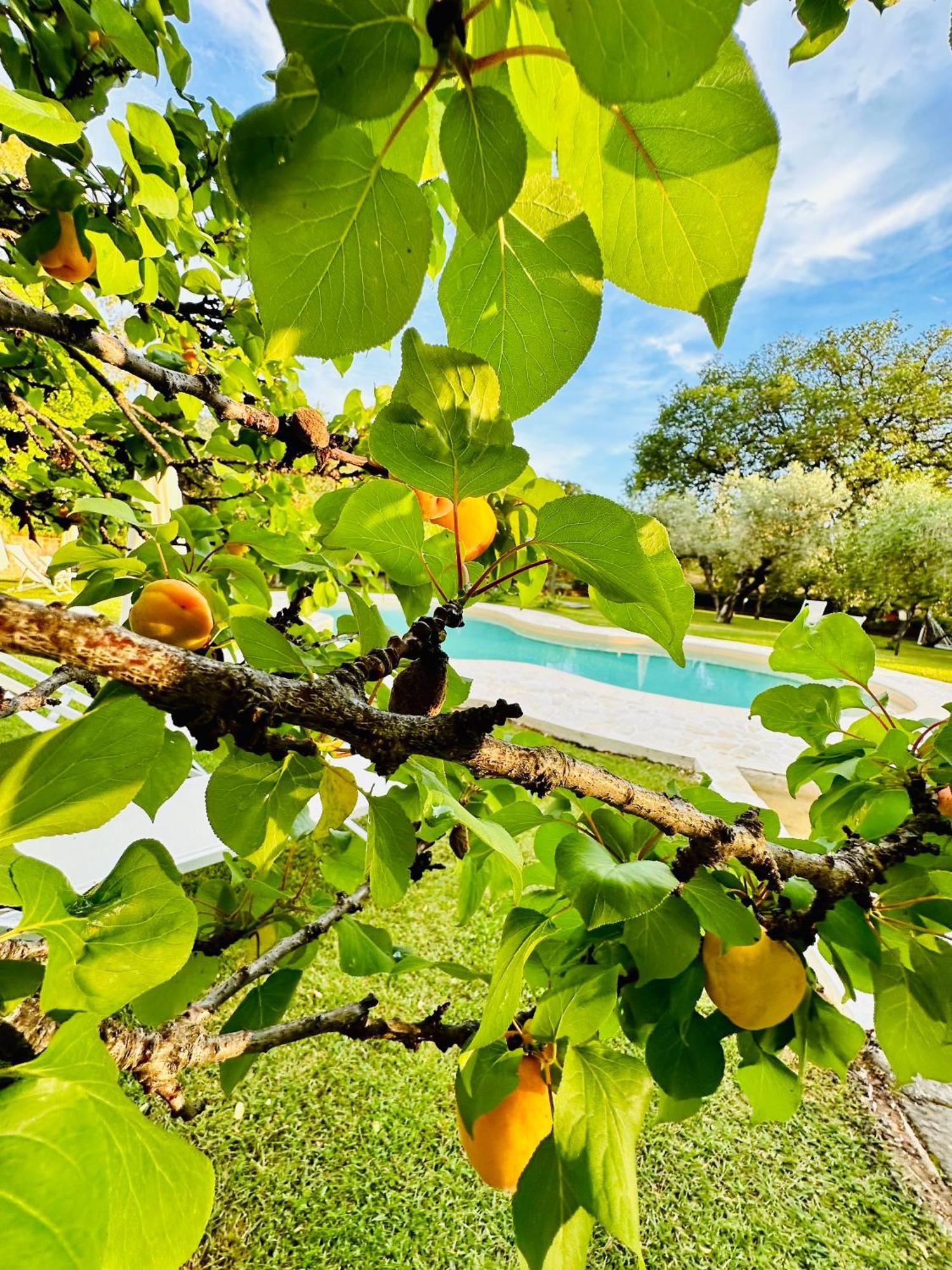 Agriturismo Podere Valdo Gavorrano Exterior photo
